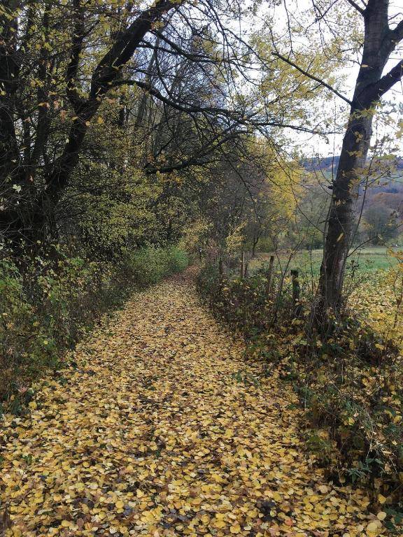 Ferienwohnung Franziska