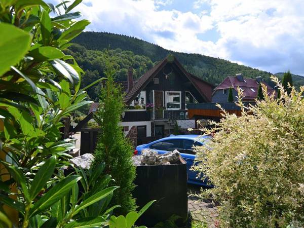 Apartment in Herzberg ot Sieber near Forest with Parking