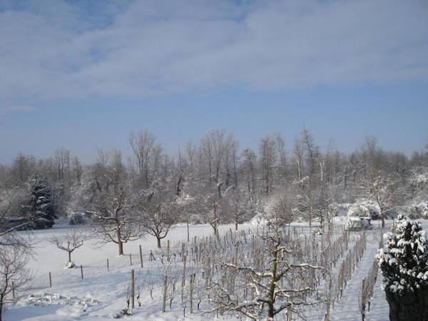 Ferienwohnungen - Gästehaus Gertrud Moog-
