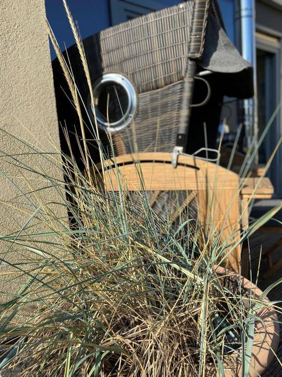 Ostsee - Reetdachhaus Nr 42 "Waterkant" im Strand Resort