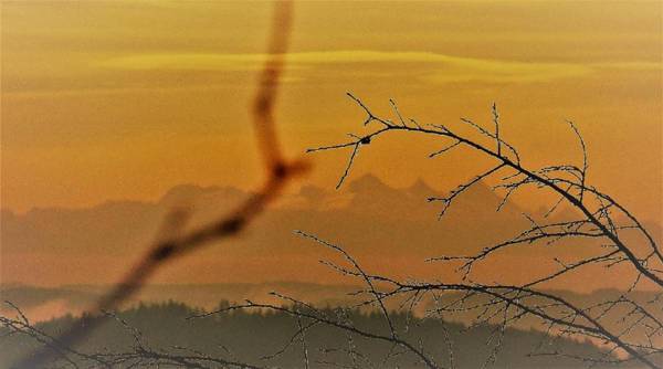 Ferienbauernhof Rosenberger