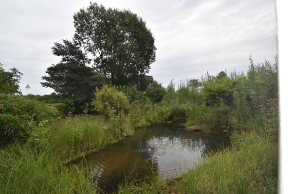 fewo1846 - Am Strand