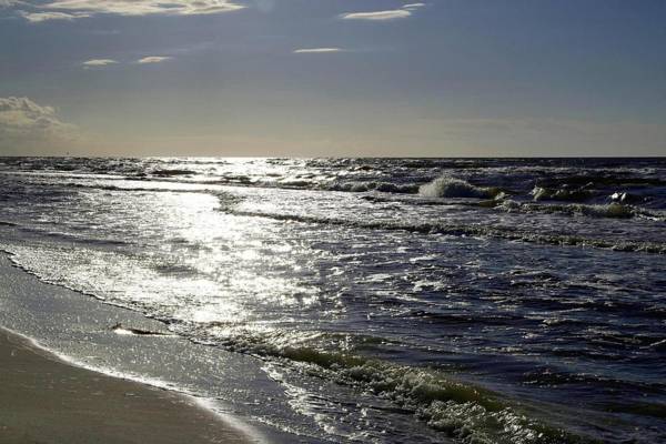 Grüntal-Residenz Haus III App. 4