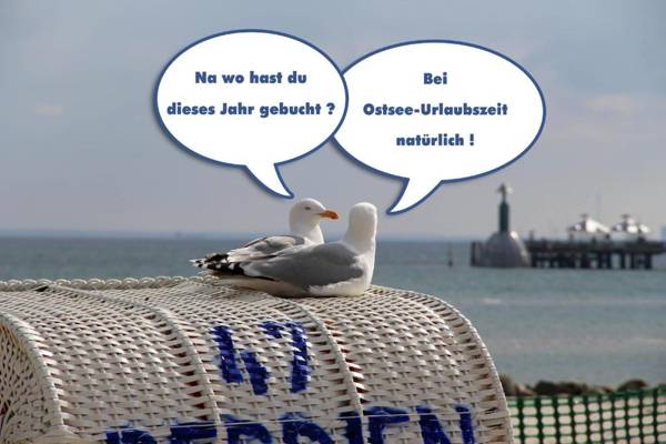 Villa Klarsinni - I - Whg1 Möwe