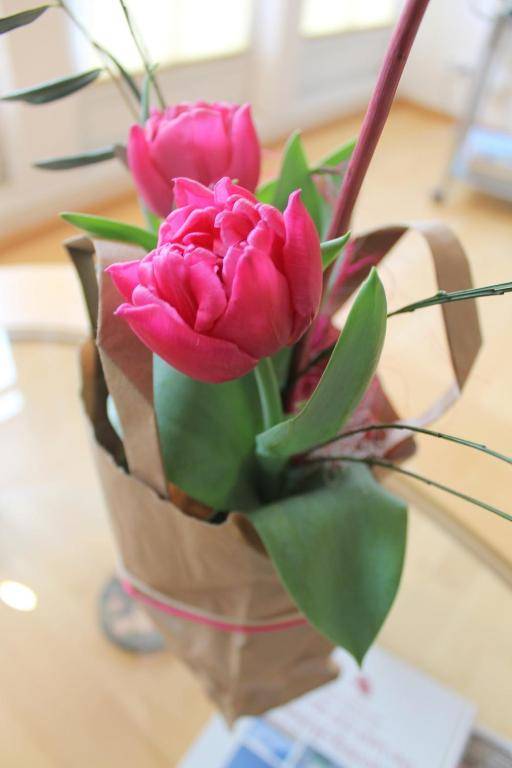 "Ferienwohnung Mahr - im idyllischen Hohenhorst bei Grömitz"