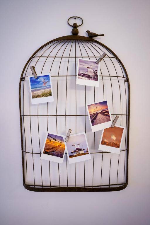 Studio 42 "Vogelfrei"