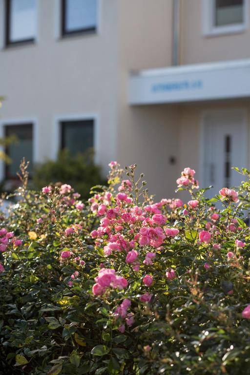 Appartementhaus Solaris Solaris Wohnung 15