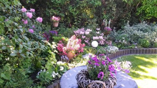 Haus Kollwitzweg - Ferienwohnungen