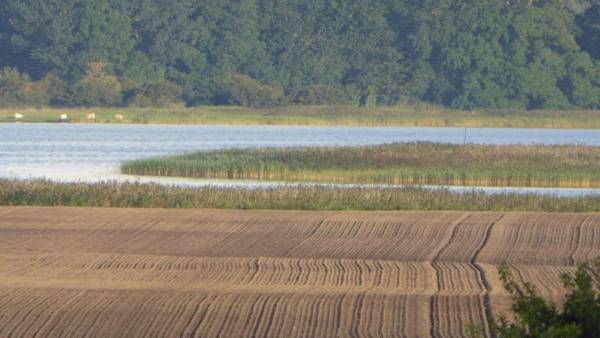 Gut Rattelvitz Parterre A