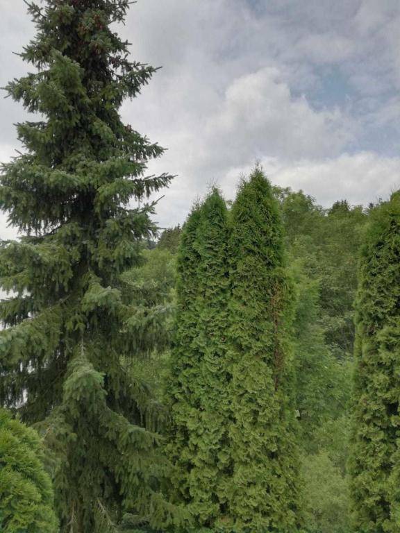 Ferienwohnung Hustley