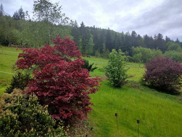 Ferienwohnung Haigerach