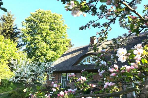 F-1081 Ferienwohnung Pfarrhof in Garz
