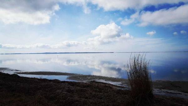 Ferienwohnung Reiter