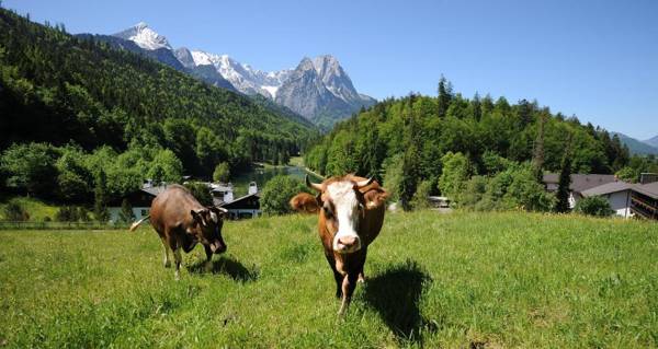 Riessersee Hotel