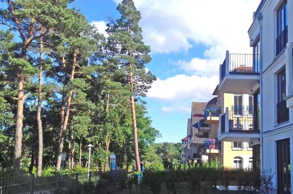 Baabe Villa Andrea Ferienwohnung P