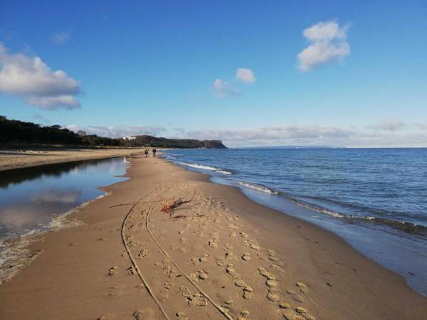 FEWO Vermietung Carmen Sagner