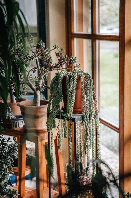 Appartementhaus Achmannhof