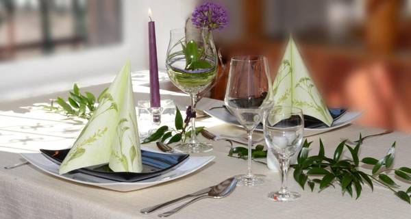 Hotel Frauensteiner Hof