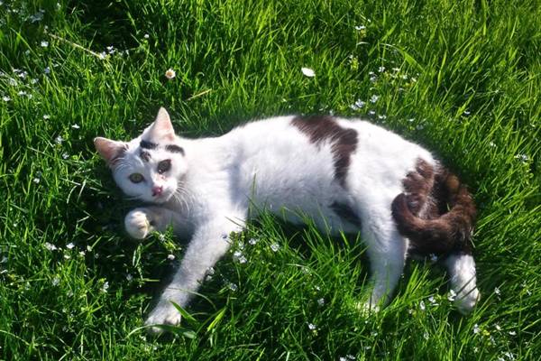 Ferienwohnungen Wanderparadies Bauernhof