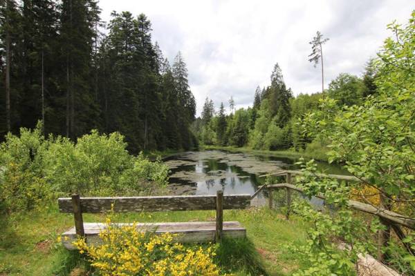 Ferienwohnung ENZTALPERLE