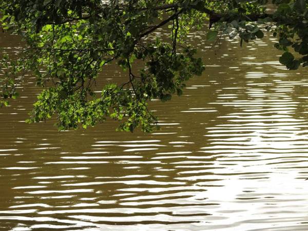 Seegasthof Franz Bolz GBR