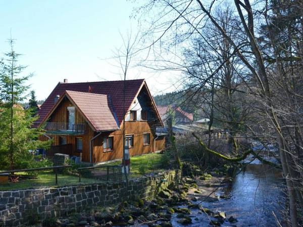 Cozy Holiday Home in Elend Harz with Private Sauna