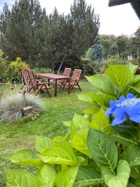 Luxus 5 Ferienhaus direkt am Wald Terrasse Grill Garten Garten