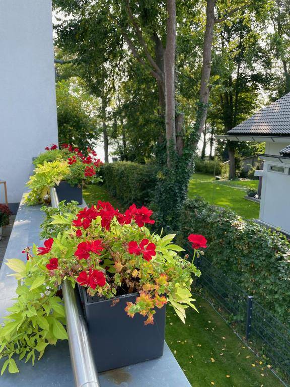 Lakeview Appartements