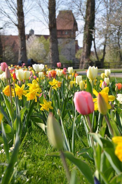 Hotel-Restaurant Goldenes Lamm