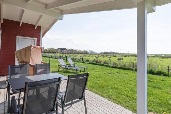 Ferienhaus - Strandflieder