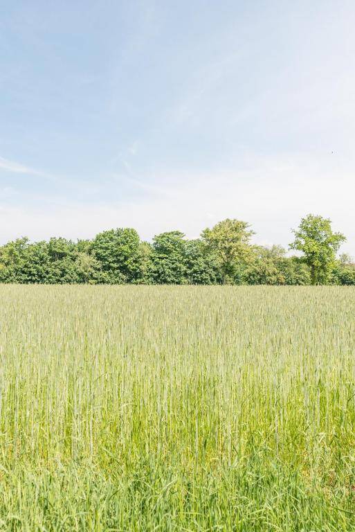 Landhaus Braband Ferienwohnungen - Gustav-Schönleber-Weg 2