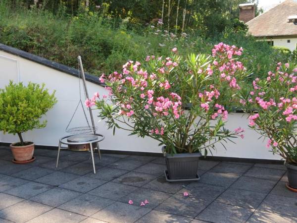 Ferienwohnung Berens