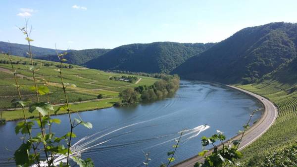 Ferienweingut Oswald Friederich