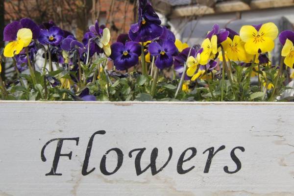 Hotel-Pension Achtern Diek