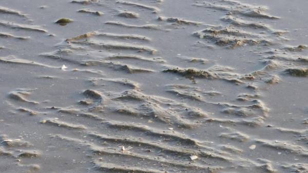 Astra Maris Apartments