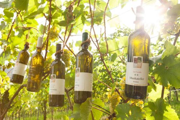 Vinotel Heinz J. Schwab