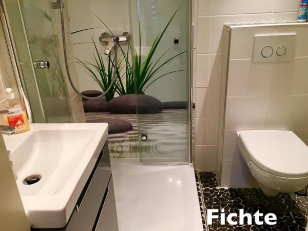 4 moderne FEWO Nowak-Bals zur Auswahl