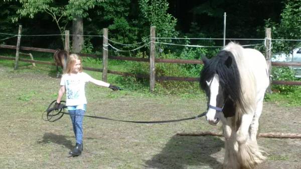 Gästehaus Bommelsen - FEWO 1