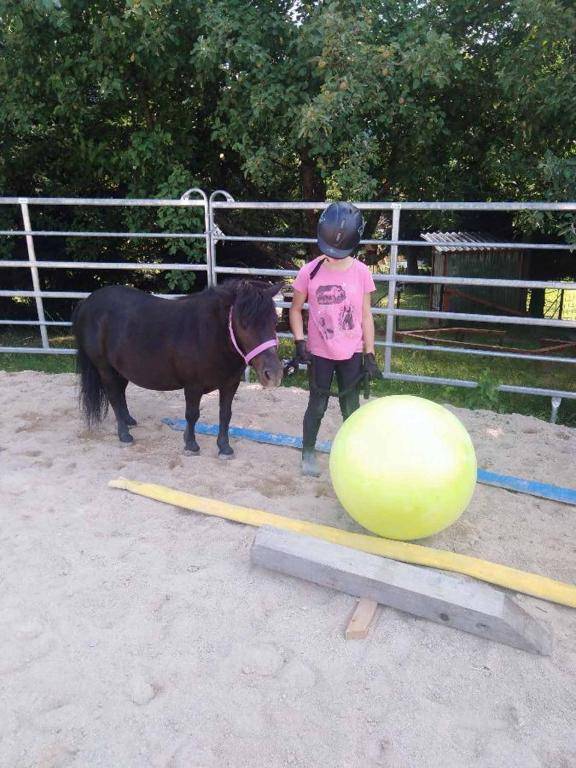 Ferienwohnnung Sternhof (Bauernhof)