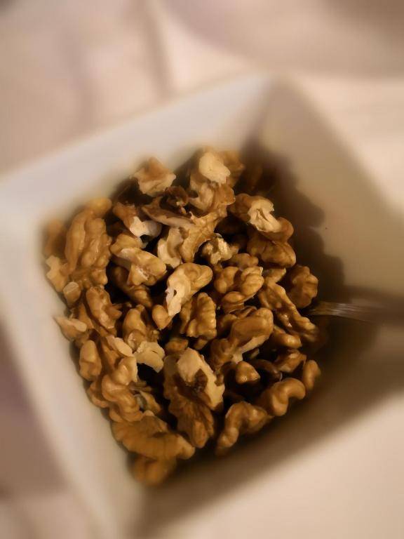 Gästehaus und Fewo Lamm Garni