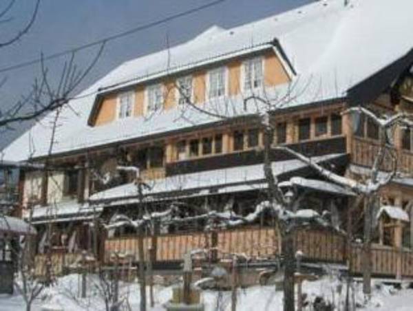 Beautiful apartment in a Black Forest house with conservatory