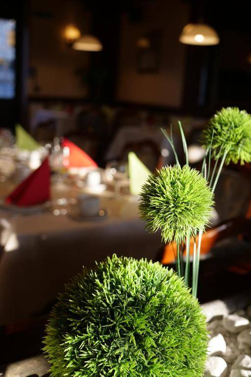 Parkhotel Bergheim