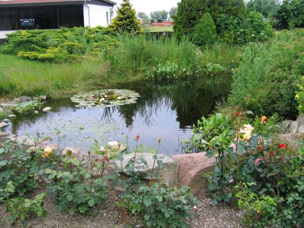 Cozy Apartment in Bastorf with Sea View