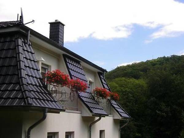 Weisses-Haus-am-Kurpark-Fewo-Bergblick