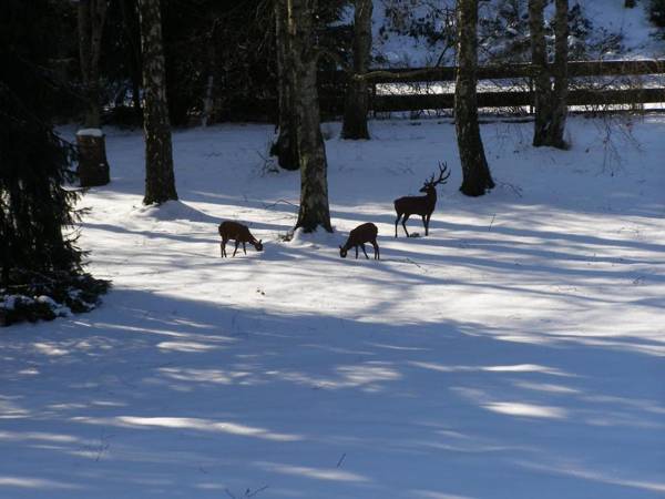 Haus Katharina Hotel garni