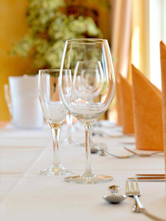 Panorama Hotel am Frankenstein