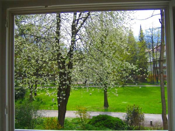 Ferienwohnung am Ortenaupark