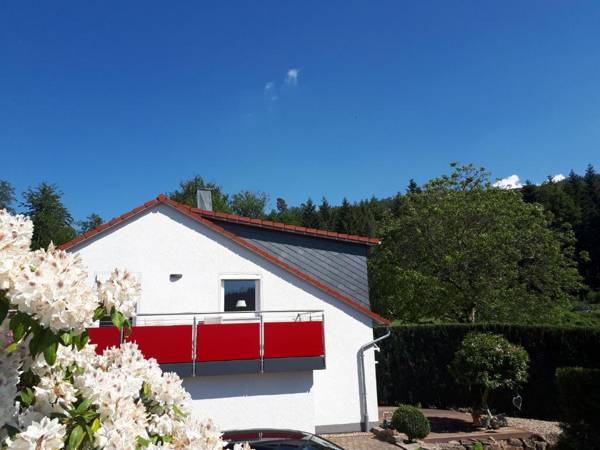 Auszeit am Wildkatzenpfad