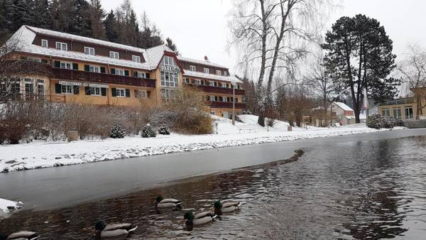 Parkhotel Bad Brambach