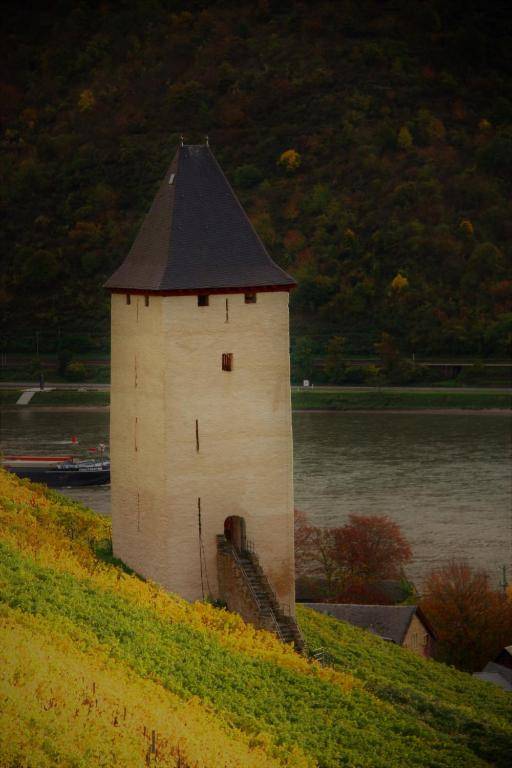 Ferienwohnungen-In-Bacharach